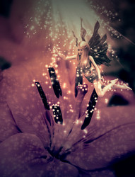 Similar image 1460390