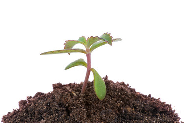 Similar image 1460423