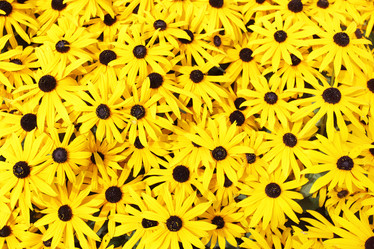 Similar image 1460453