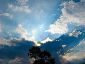 Similar image 1460503