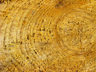 Similar image 1460510