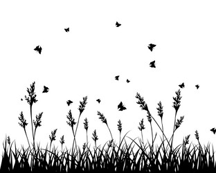 Similar image 1460554