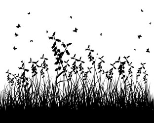 Similar image 1460560