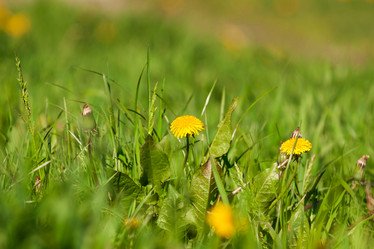 Similar image 1460588