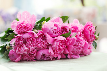 Similar image 1460620