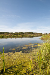 Similar image 1460778