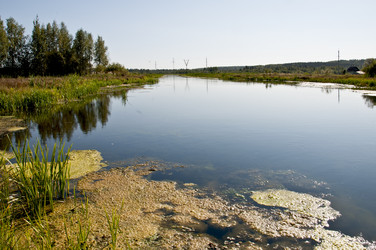 Similar image 1460779