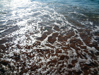 Similar image 1460979