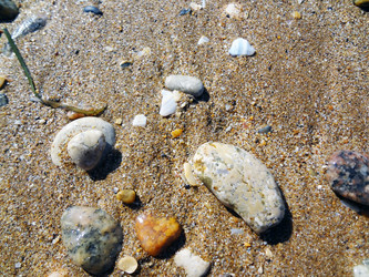 Similar image 1460981