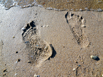 Similar image 1460985