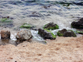 Similar image 1460987