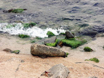 Similar image 1460988