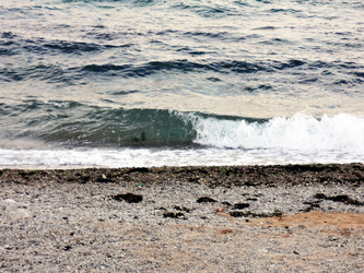 Similar image 1460989