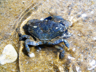 Similar image 1460998