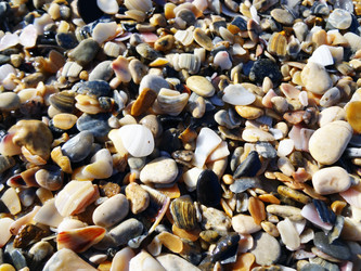 Similar image 1461002