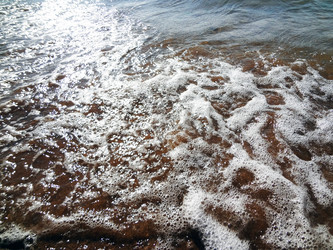 Similar image 1461006