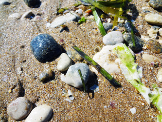 Similar image 1461009