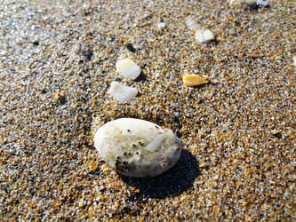 Similar image 1461016