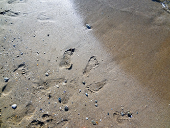 Similar image 1461024