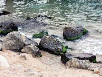 Similar image 1461025