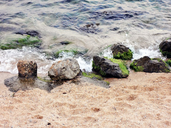 Similar image 1461026