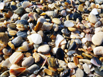 Similar image 1461028