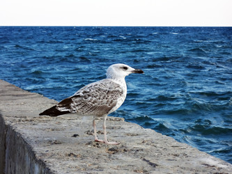 Similar image 1461034