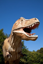 Similar image 1461089