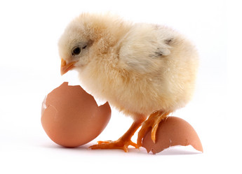 Similar image 1461100