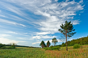 Similar image 1461195