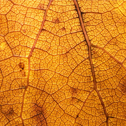 Similar image 1461218