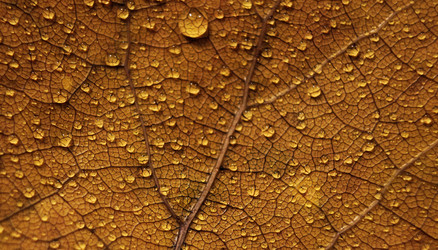 Similar image 1461219