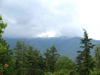 Similar image 1461246