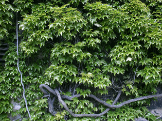 Similar image 1461261