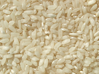 Similar image 1461260