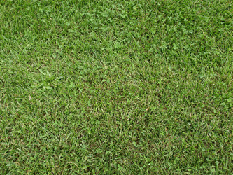 Similar image 1461285