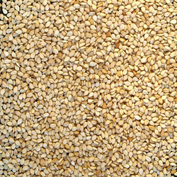 Similar image 1461355