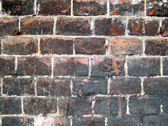 Similar image 1461388