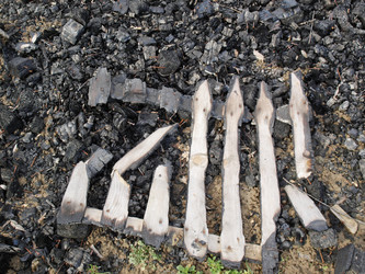 Similar image 1461407