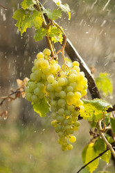 Similar image 1461437