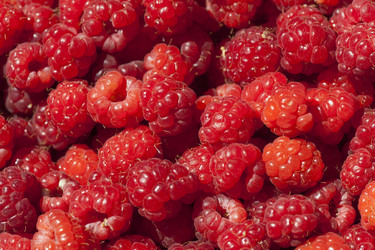 Similar image 1461519