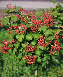 Similar image 1461719