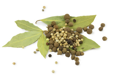 Similar image 1461731