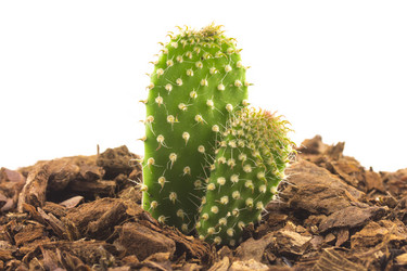 Similar image 1461734