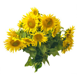 Similar image 1461839