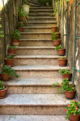 Similar image 1461846