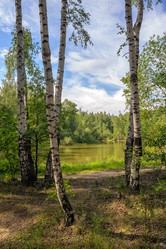 Similar image 1461859