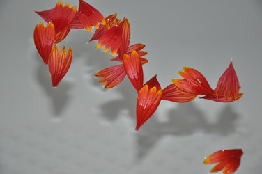 Similar image 1461894