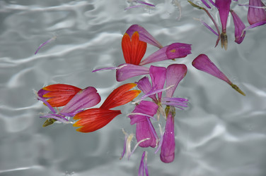 Similar image 1461895