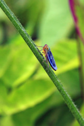 Similar image 1462207